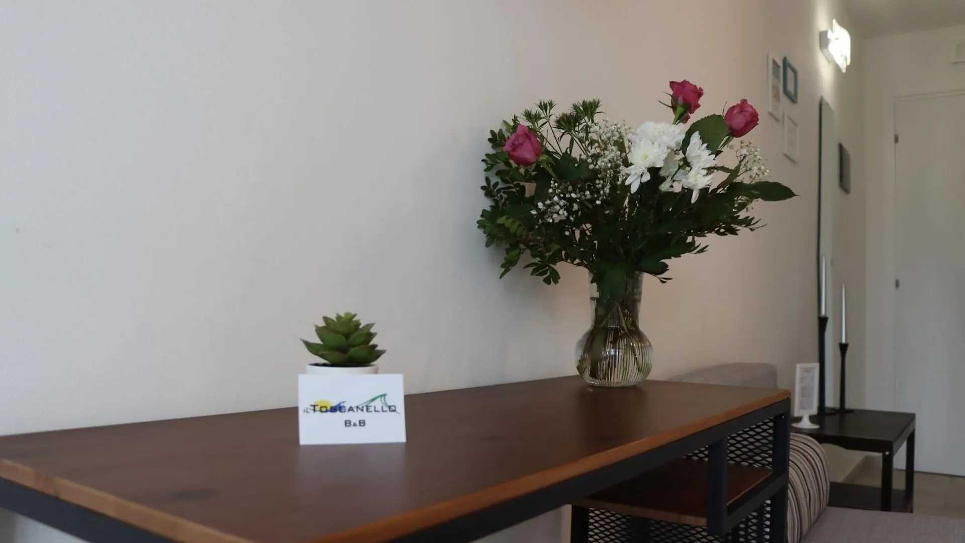 Il Toscanello Lido di Camaiore Bed & Breakfast