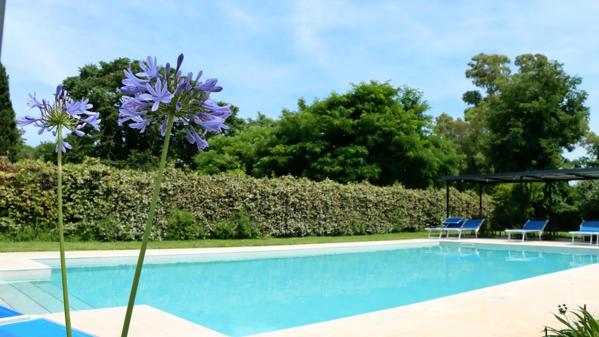 Il Toscanello Lido di Camaiore Bed & Breakfast